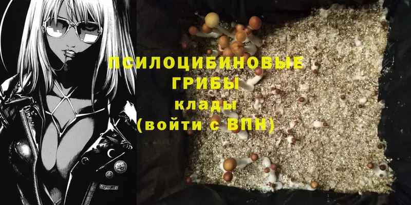 что такое наркотик  ссылка на мегу ССЫЛКА  Галлюциногенные грибы Cubensis  Анжеро-Судженск 